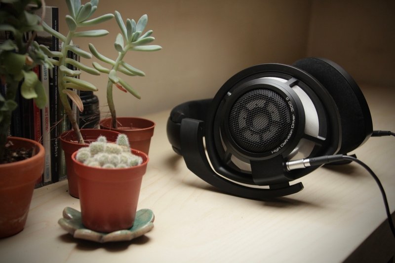 Sennheiser HD 800S vs Focal Clear